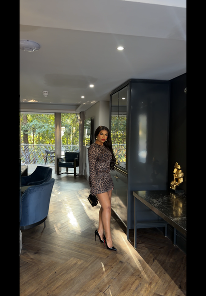 Leopard print mini dress
